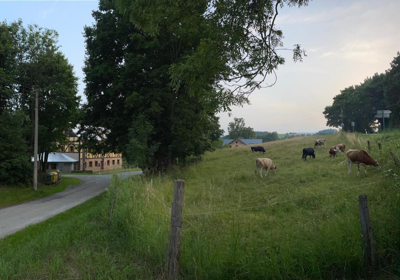 Penzion Stara Skola Vikantice Dış mekan fotoğraf